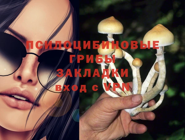 кокаин премиум Алексеевка
