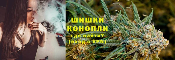 соль ск Алексин