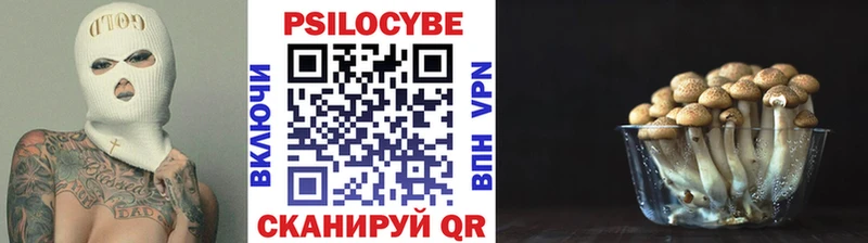 ссылка на мегу как войти  продажа наркотиков  Заозёрный  это наркотические препараты  Псилоцибиновые грибы прущие грибы 